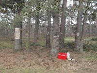 DSCF5661.jpg