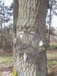 DSCF5697.jpg