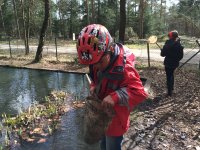 KopieavanaIMG_1850.jpg