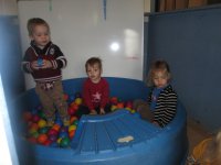 IMG_2323.jpg