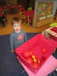 IMG_2342.jpg