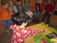 IMG_2377.jpg