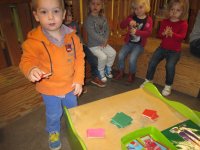 IMG_2378.jpg