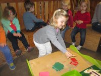 IMG_2381.jpg
