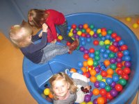 IMG_2384.jpg
