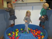 IMG_2427.jpg