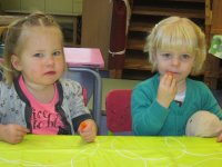 IMG_2437.jpg