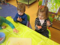 IMG_2441.jpg