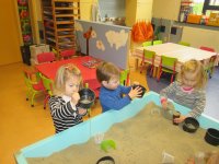 IMG_2442.jpg