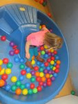 IMG_2457.jpg