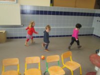 IMG_2556.jpg