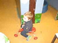IMG_2559.jpg