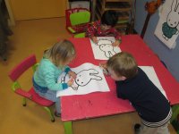 IMG_2627.jpg