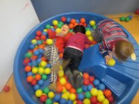 IMG_2696.jpg