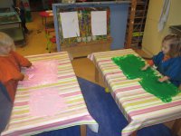 IMG_2721.jpg