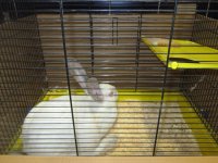 IMG_2743.jpg