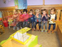 IMG_2745.jpg