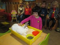 IMG_2747.jpg