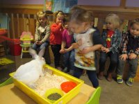 IMG_2750.jpg