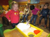 IMG_2754.jpg