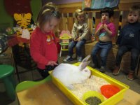 IMG_2755.jpg