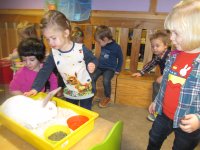 IMG_2759.jpg