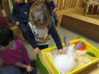 IMG_2764.jpg