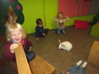 IMG_2788.jpg