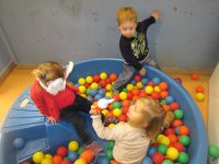 IMG_2856.jpg