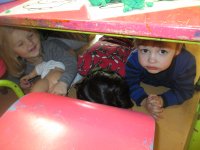 IMG_2892.jpg