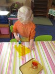 IMG_2895.jpg