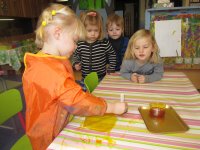 IMG_2896.jpg