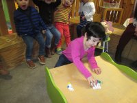 IMG_2927.jpg