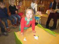 IMG_2929.jpg