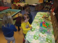 IMG_3336.jpg