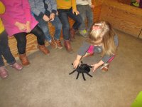 IMG_3503.jpg