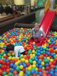 IMG_3868.jpg