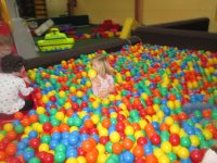 IMG_3931.jpg