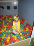 IMG_3978.jpg