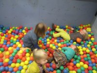 IMG_7699.jpg