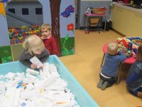 IMG_7712.jpg