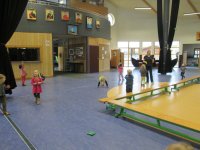 IMG_7724.jpg