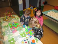 IMG_7801.jpg