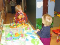 IMG_7842.jpg