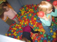 IMG_7856.jpg