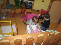 IMG_7865.jpg