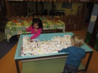 IMG_7875.jpg