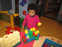 IMG_7884.jpg