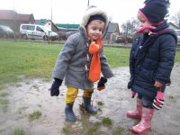IMG_7900.jpg