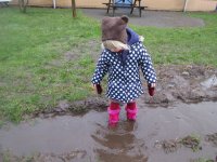 IMG_7903.jpg